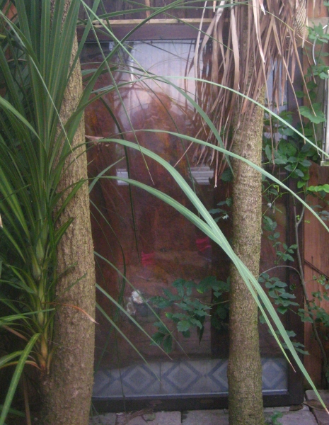 Painting-garden-gallery-4-oct-2024-3