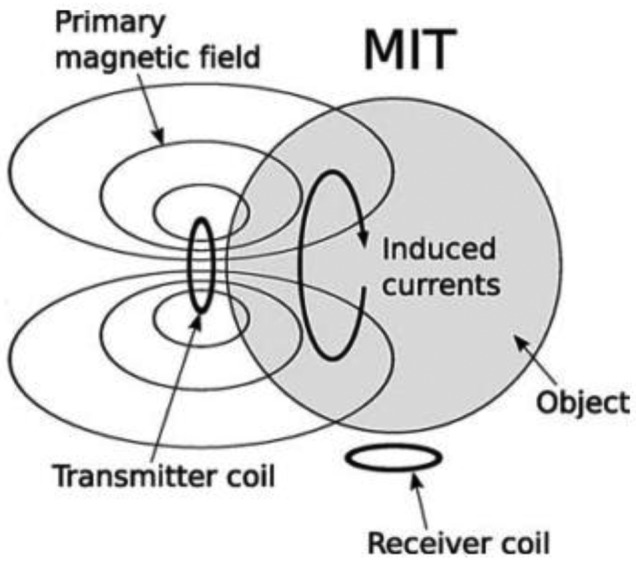magnetic induction in objects